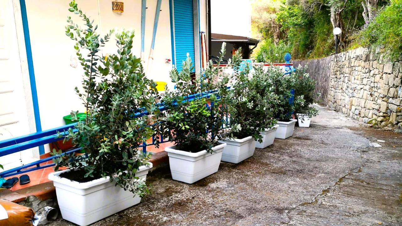 Appartamento La Casa di Aurelio Capo dʼOrlando Esterno foto